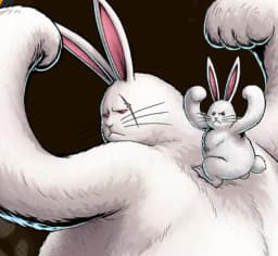 Drum Island Lapin