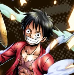 2 Years Later Monkey D Luffy