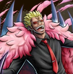 Don Quixote Pirates Captain Don Quixote Doflamingo