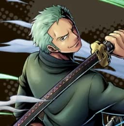 2 Years Later Combatant Roronoa Zoro