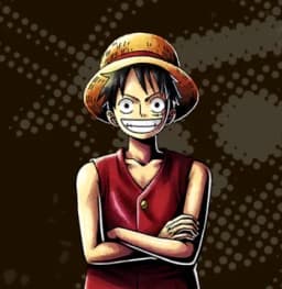 Straw Hat Pirates Captain Monkey D Luffy