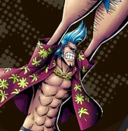 Straw Hat Pirates Ship Carpenter Franky